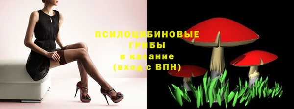 молекула духа Баксан