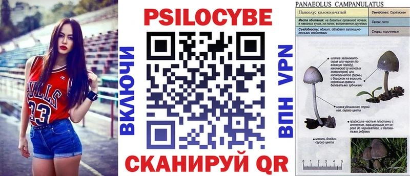 Псилоцибиновые грибы прущие грибы  где продают наркотики  Чапаевск 